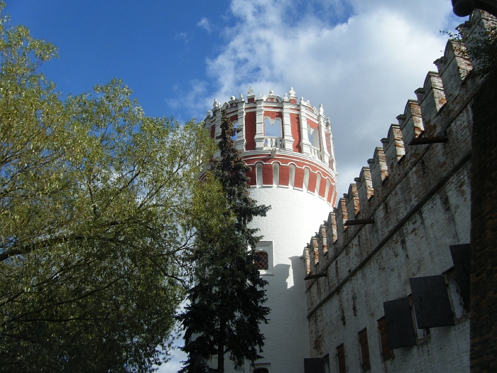 DSCF1880