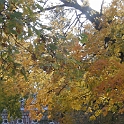 DSCF1985