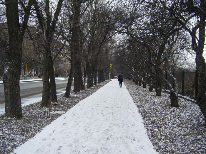 DSCF3576