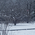 DSCF2826