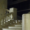 DSCF3555
