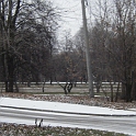 DSCF3580